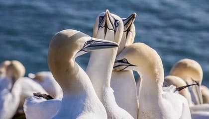 曼联选帅否决一人！夏窗补强曝光