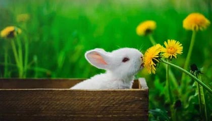 豪赌3人！卡塞米罗离队，曼联中场换血能否逆袭？